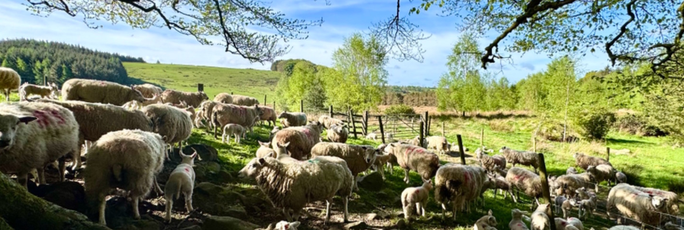 Farm Services